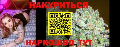 гидропоника Будённовск