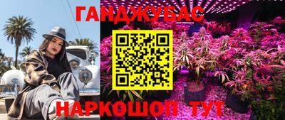 гидропоника Будённовск