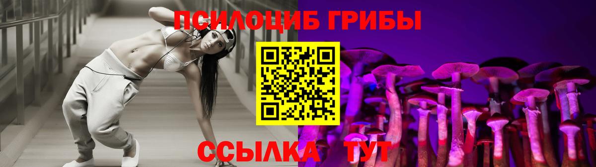 Прокопьевск  Галлюциногенные грибы Magic Shrooms  Вход с VPN  наркотики  Псилоцибиновые грибы GOLDEN TEACHER 
